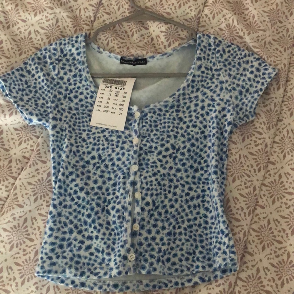 Brandy Melville Blue Zelly Cheetah Top